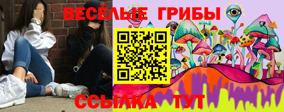 Галлюциногенные грибы Psilocybe Гай
