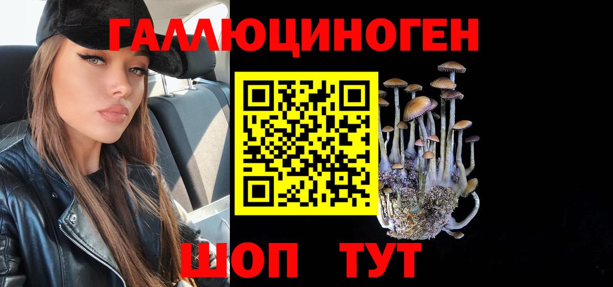 Гай  Галлюциногенные грибы Cubensis  Вход с VPN  Псилоцибиновые грибы MAGIC MUSHROOMS 